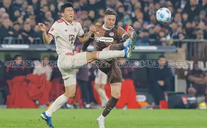天辰娱乐百度网盘企业版